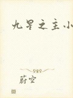九星之主小说