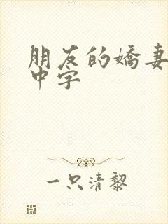 朋友的娇妻hd中字