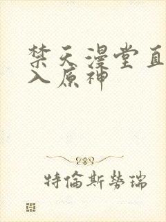 禁天漫堂直接进入原神