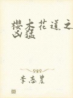 樱木花道之重生凶猛