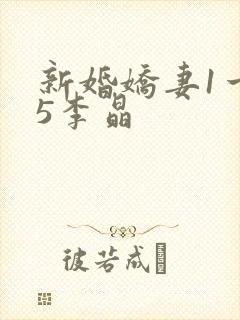 新婚娇妻1一25李晶
