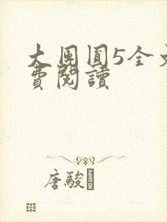 大团圆5全文免费阅读