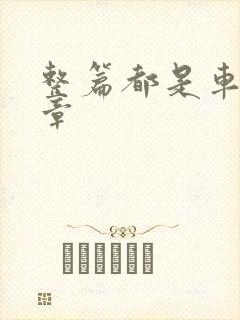 整篇都是车的文章