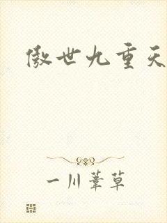 傲世九重天小说