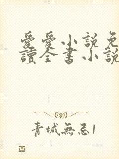 爱爱小说免费阅读全书小说乡村