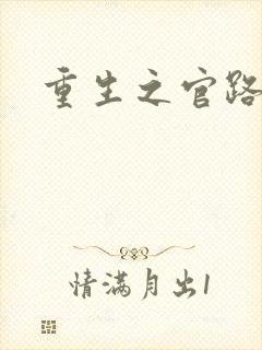 重生之官路风流