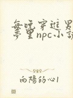 每晚穿进男神的梦里npc小说