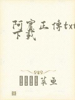 阿宾正传txt下载