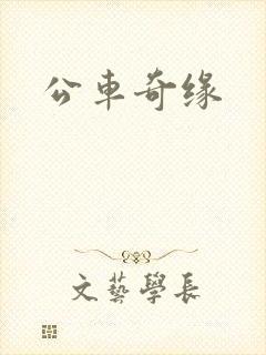 公车奇缘