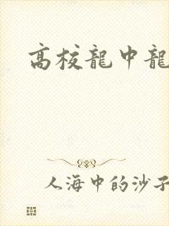 高校龙中龙