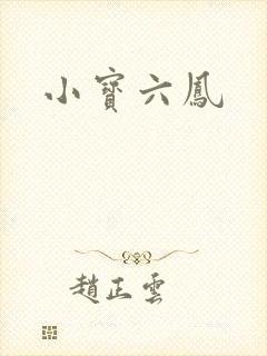 小宝六凤
