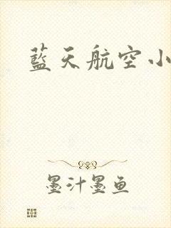 蓝天航空小说