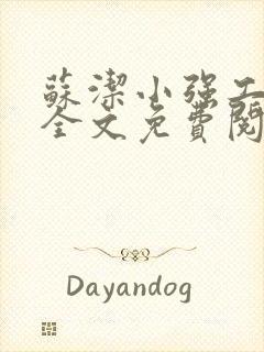 苏洁小强工地情全文免费阅读