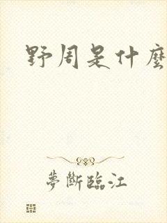野周是什么意思