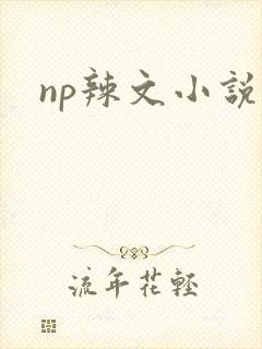 np辣文小说