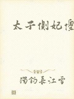 太子侧妃傻乎乎