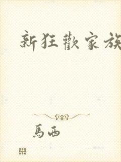 新狂欢家族小说