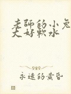 老师的小兔子好大好软水