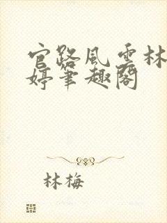 官路风云林海姜婷笔趣阁