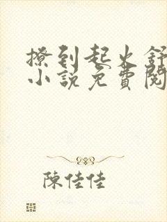 撩到起火舒漾的小说免费阅读全文