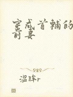 穿成首辅的炮灰前妻