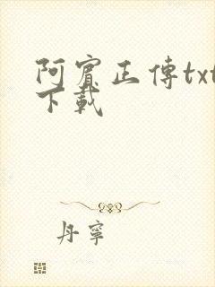 阿宾正传txt下载