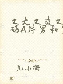 又大又爽又黄无码A片男和男