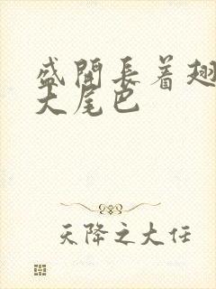 盛开长着翅膀的大尾巴