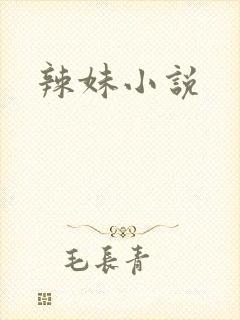 辣妹小说