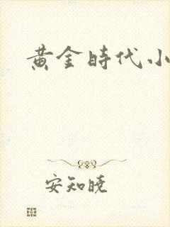 黄金时代小说