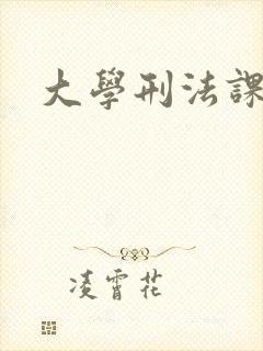 大学刑法课