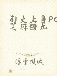 引火上身POP芝麻糖丸