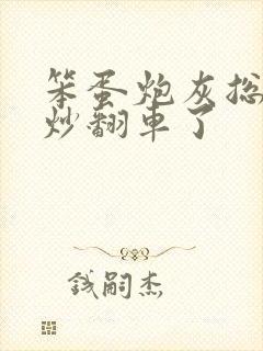 笨蛋炮灰总被爆炒翻车了