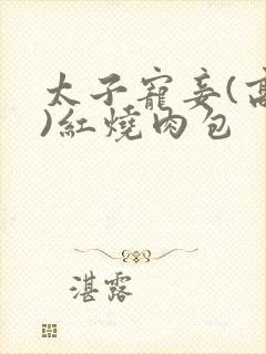 太子宠妾(高肉)红烧肉包