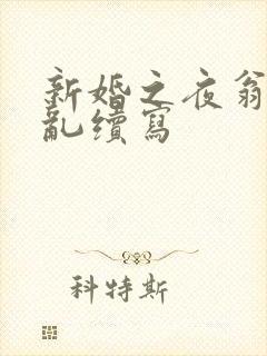 新婚之夜翁莹情乱续写