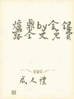 炉鼎by金银花露全文免费阅读笔趣阁