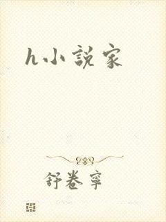 h小说家