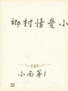 乡村情爱小说