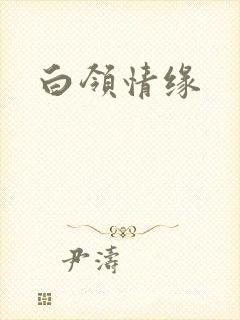 白领情缘