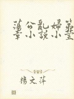 荡公乱妇第51章小说小莹