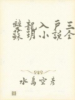 双龙入户三人行苏玥小说全文阅读
