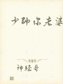 少帅你老婆