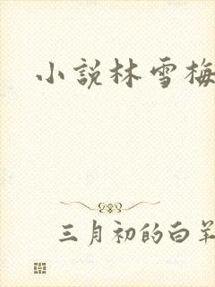 小说林雪梅