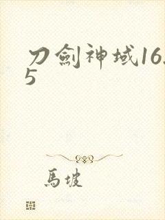 刀剑神域16.5