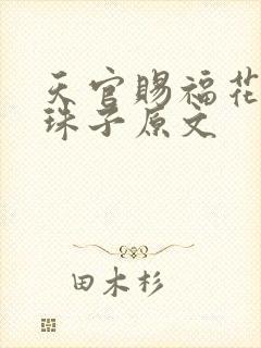天官赐福花怜塞珠子原文