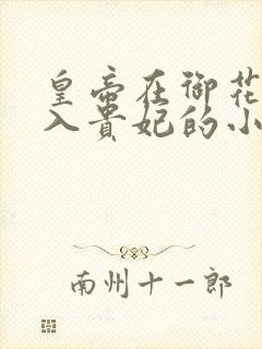 皇帝在御花园进入贵妃的小说