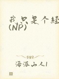 我只是个经纪人(NP)