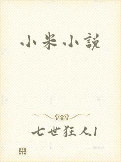 小米小说