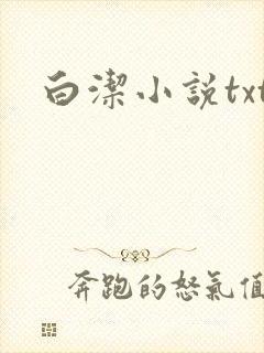 白洁小说txt