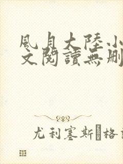 风月大陆小说全文阅读无删减